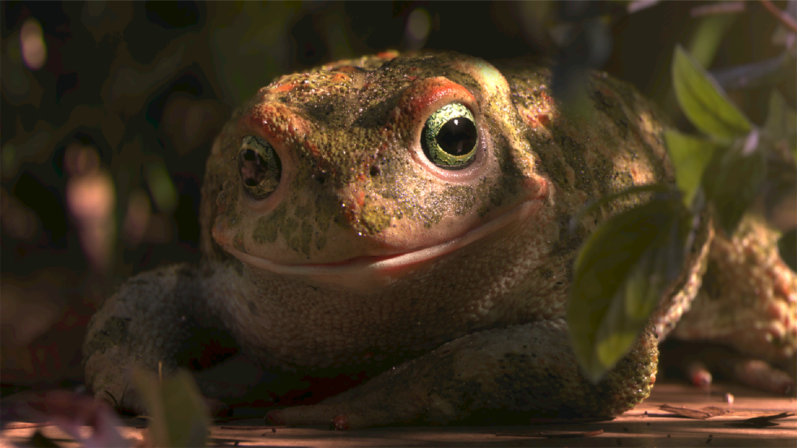 2018 oscar nominated short films